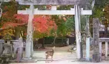 Nara 